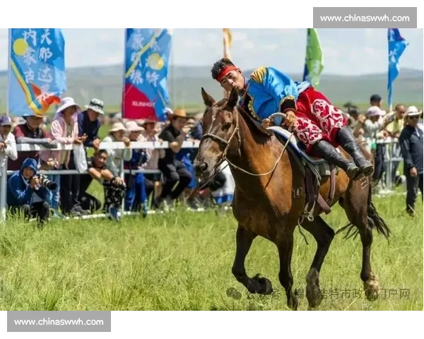驰骋赛场的英勇骑士探秘马术比赛中骏马的卓越表现与训练秘诀